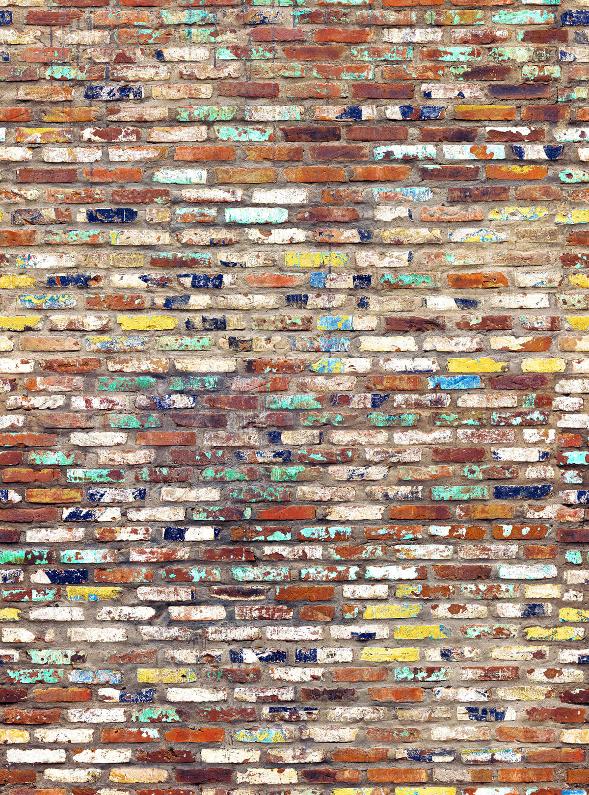 Tapetti Color Tiles