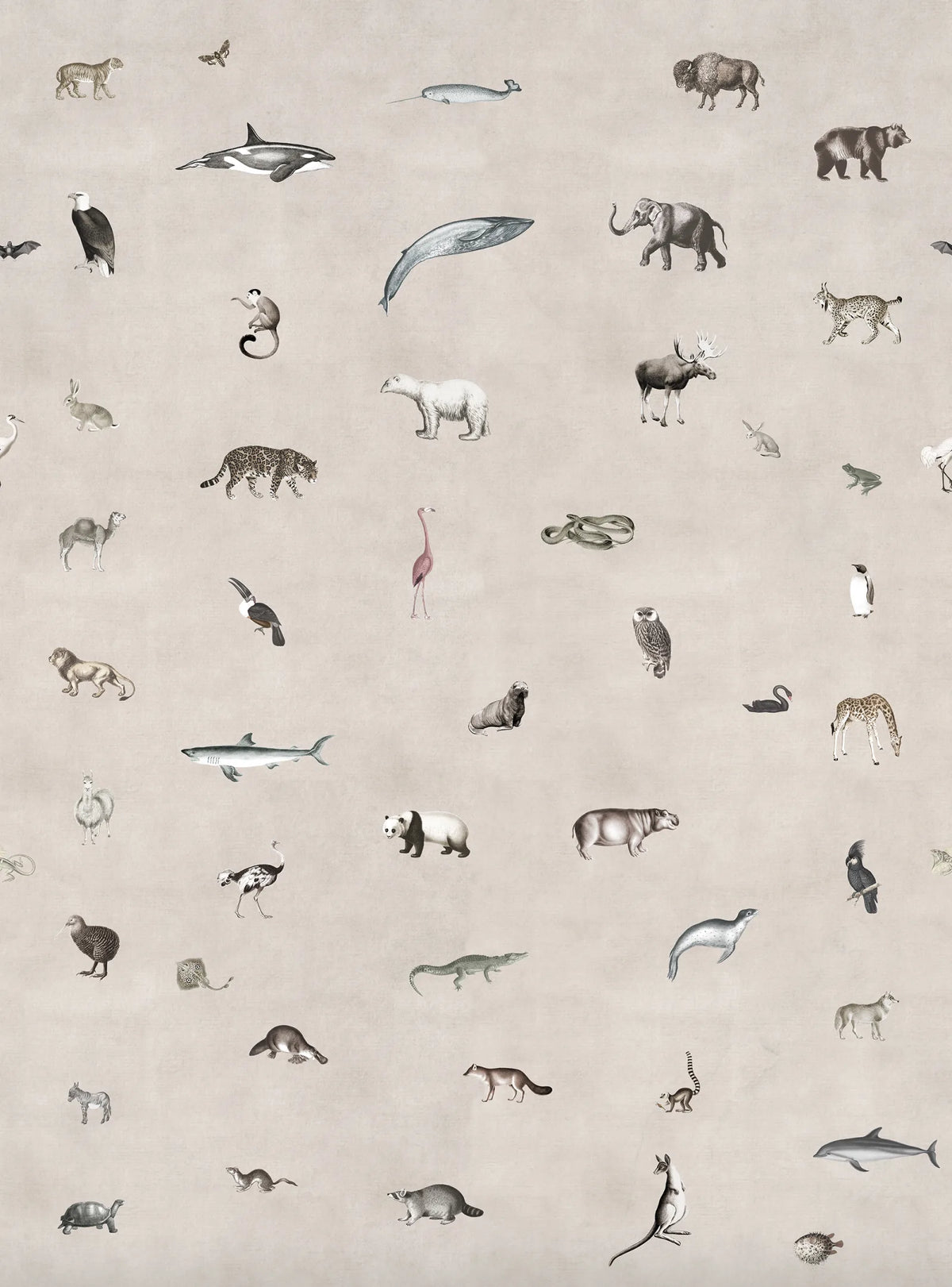 Tapetti Wildlife Sand