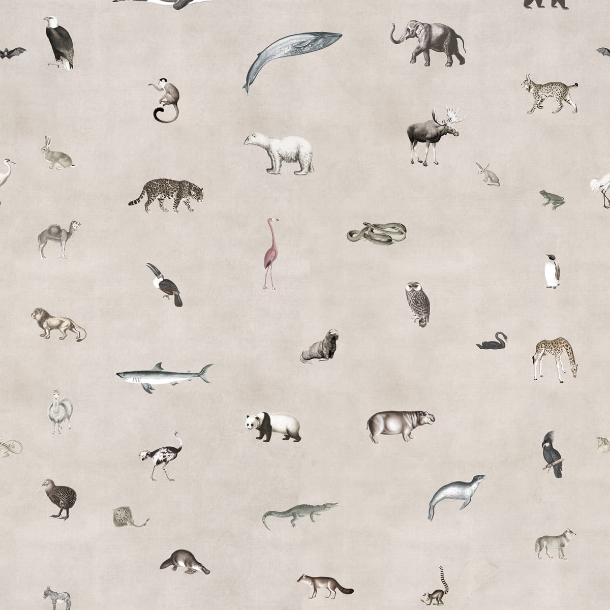 Tapetti Wildlife Sand