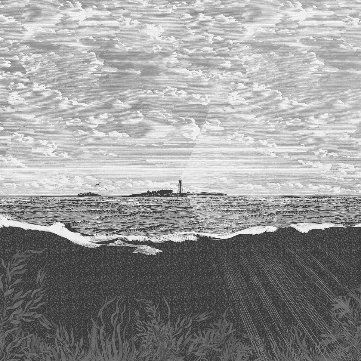 Tapetti Guiding Light, Graphite	