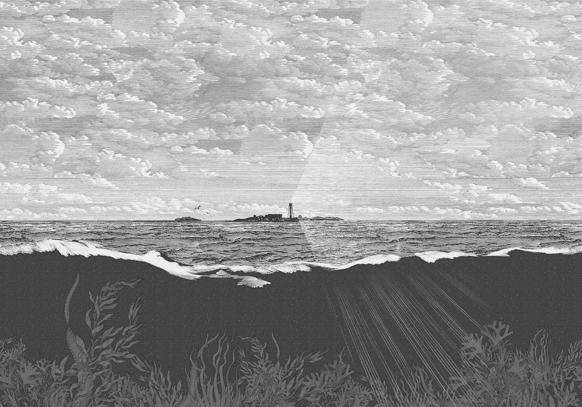 Tapetti Guiding Light, Graphite