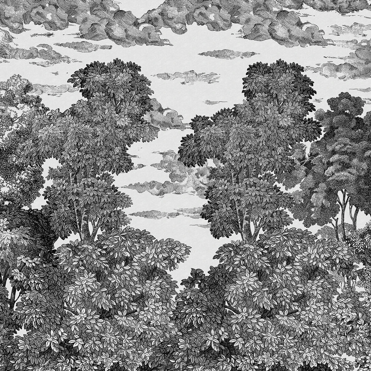 Tapetti Bellewood Under The Clouds, Graphite