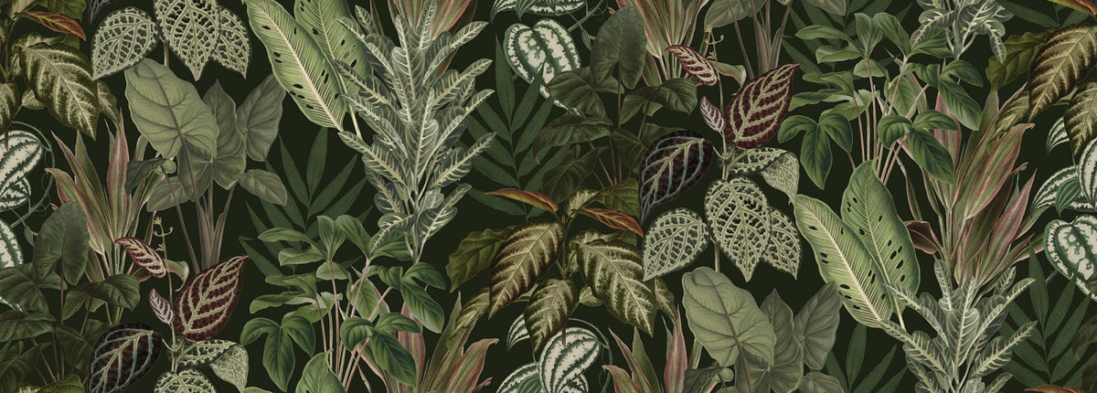 Tapetti Mischievous Jungle, Lush