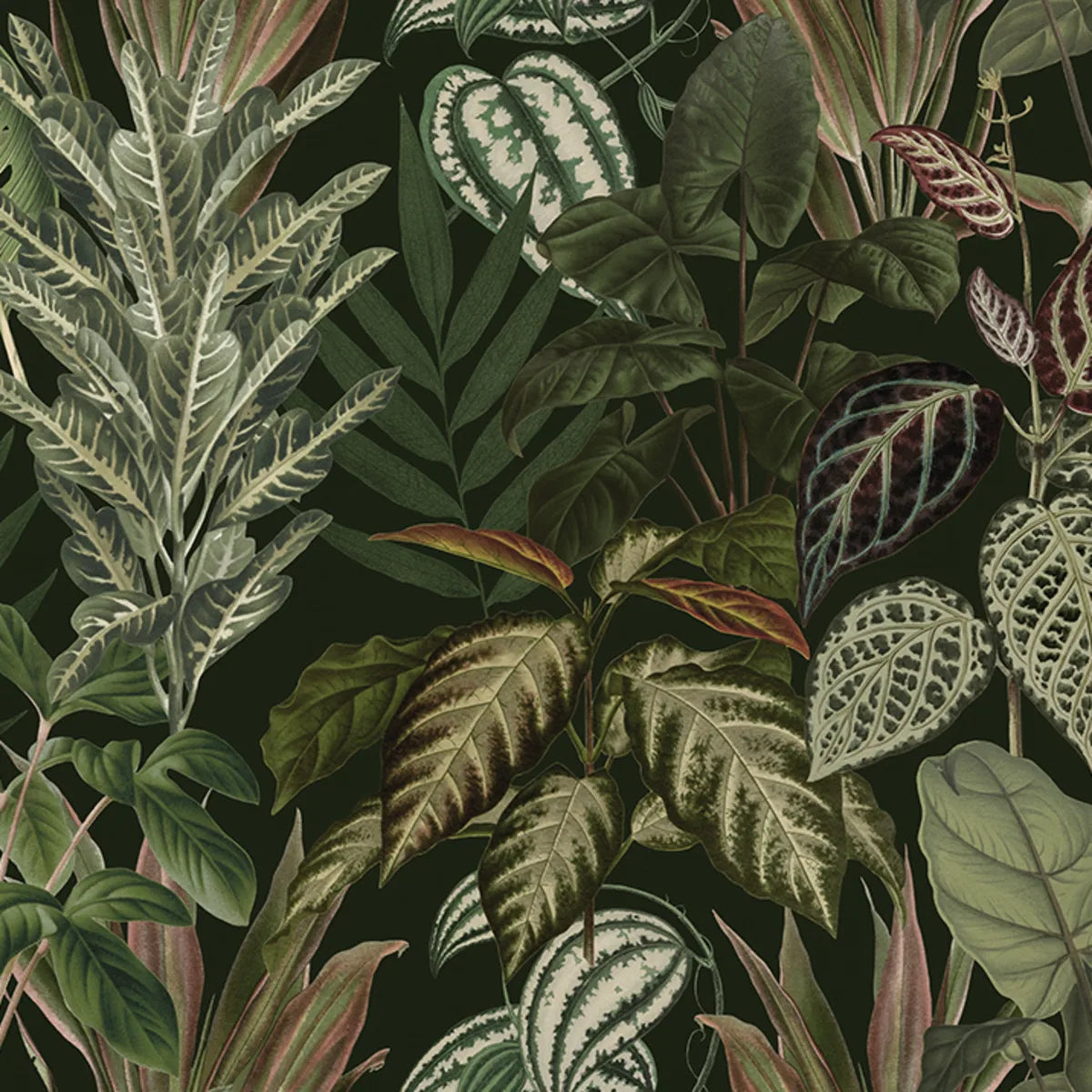 Tapetti Mischievous Jungle, Lush
