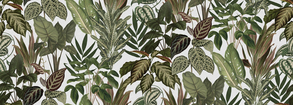 Tapetti Mischievous Jungle, White
