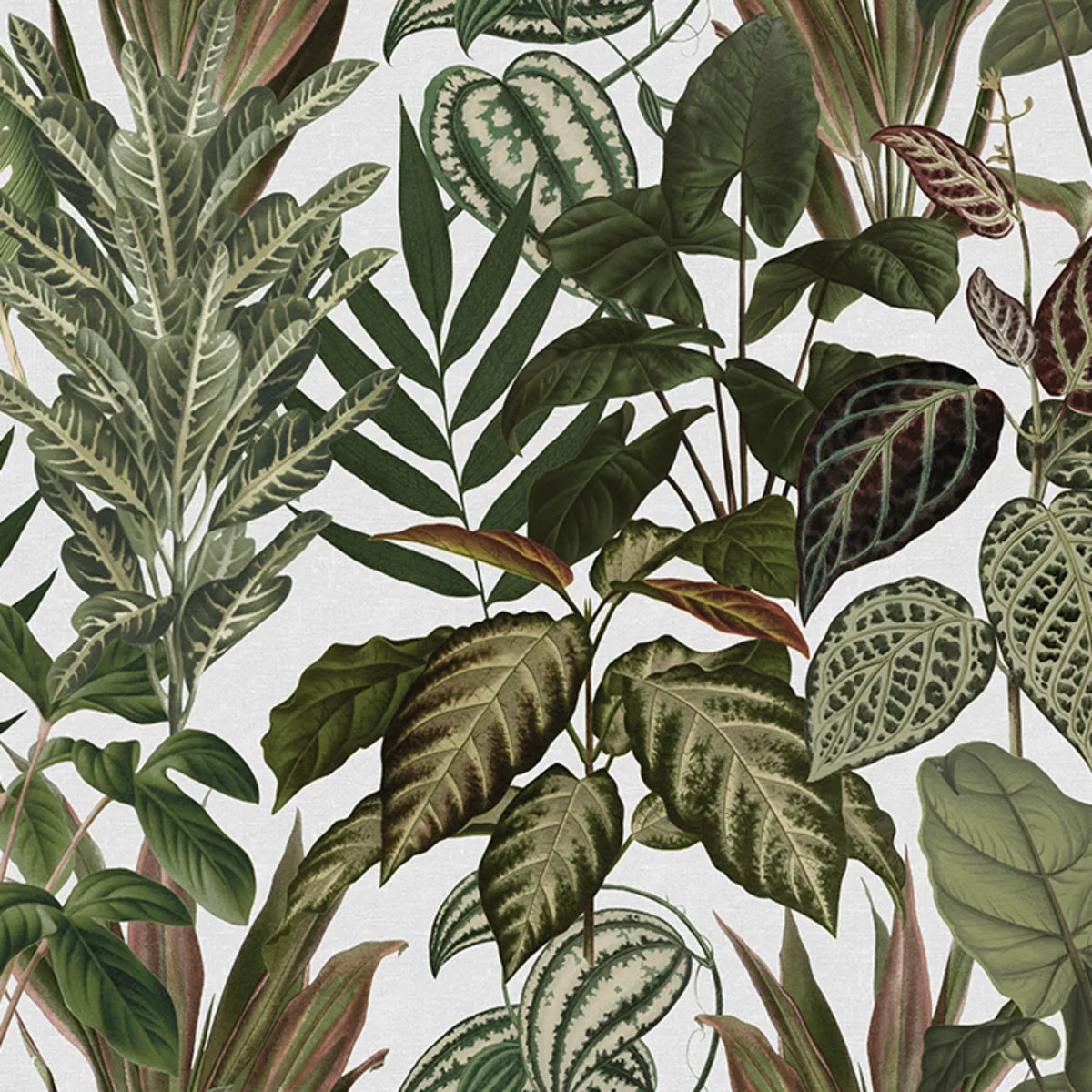 Tapetti Mischievous Jungle, White
