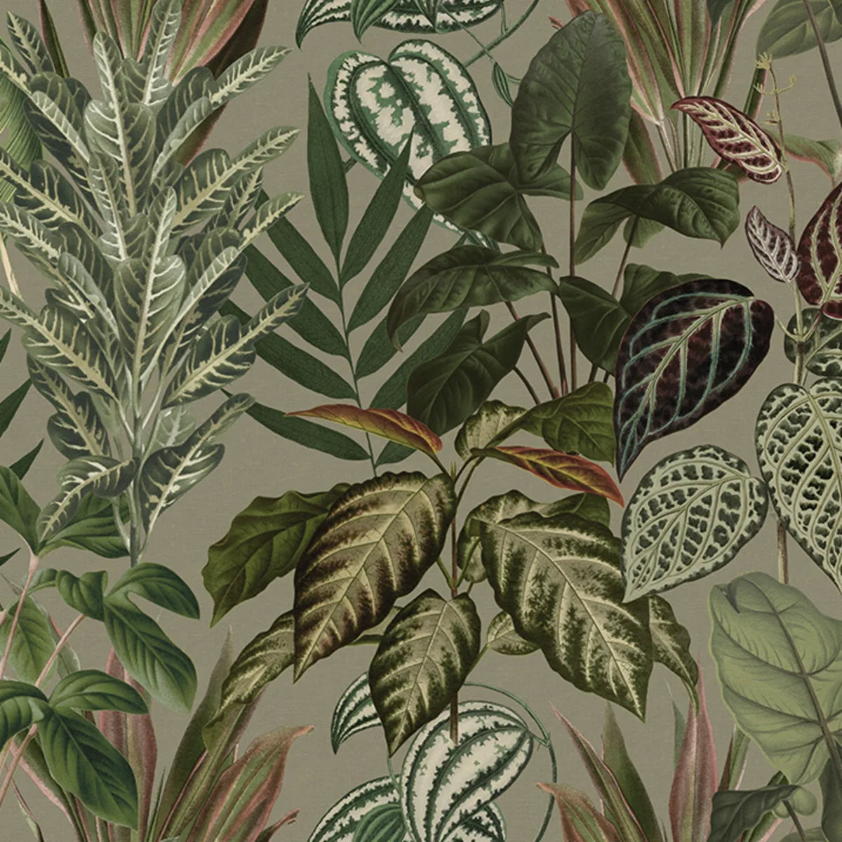 Tapetti Mischievous Jungle, Sand
