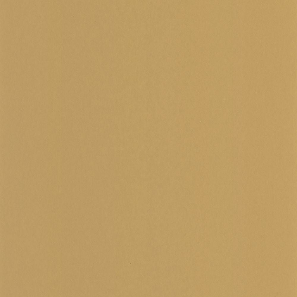 Tapetti Pigments Jaune Ocre 0,53x10,05m