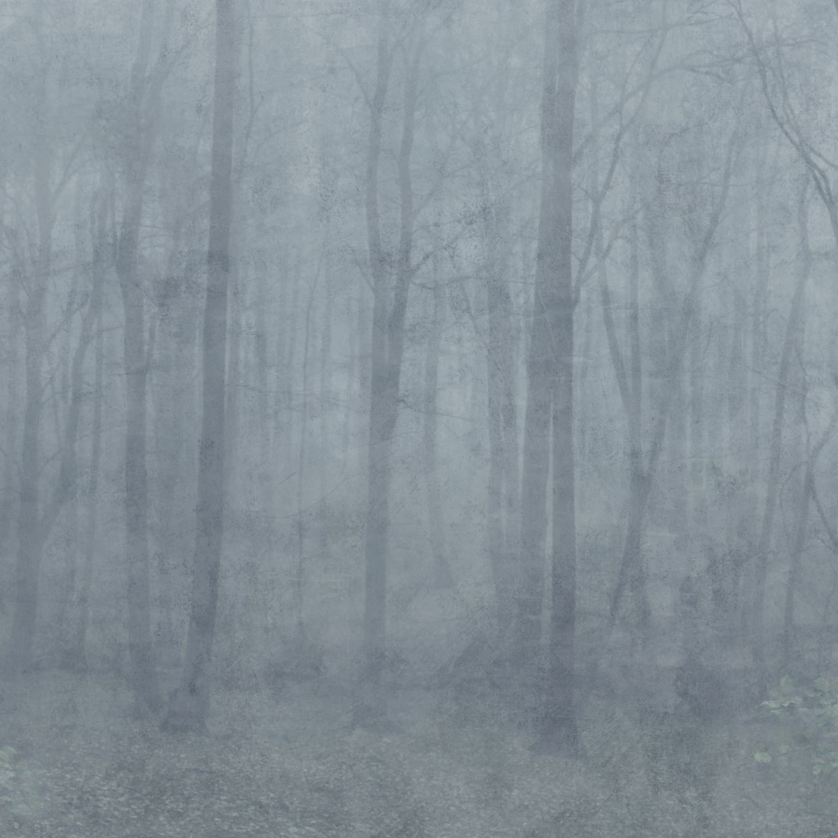 Tapetti Skog, Misty Blue