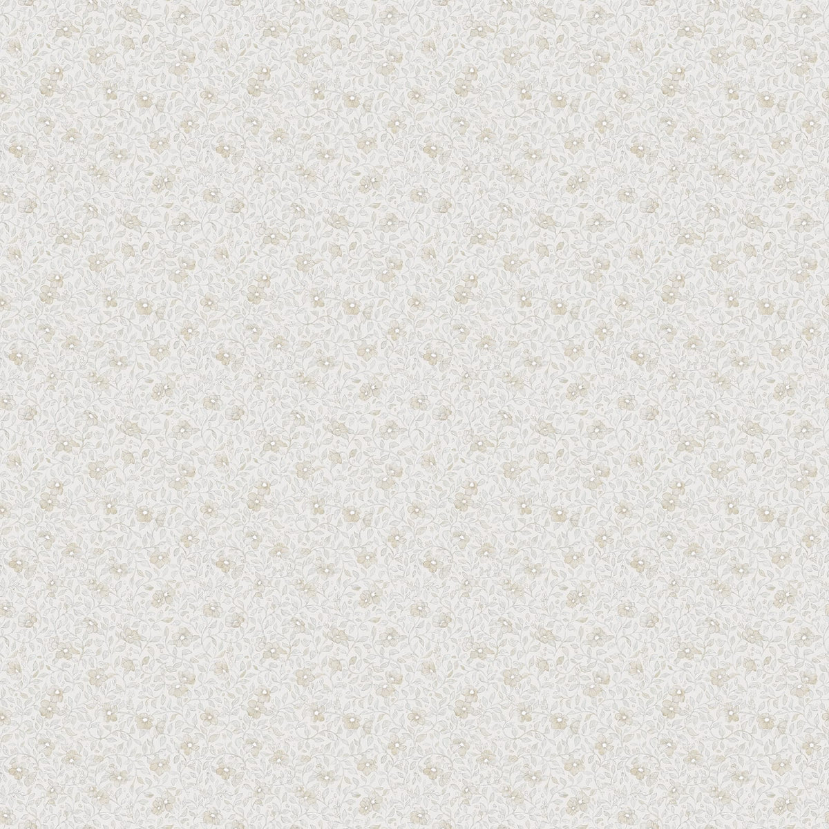 Tapetti Stella, Sandstone