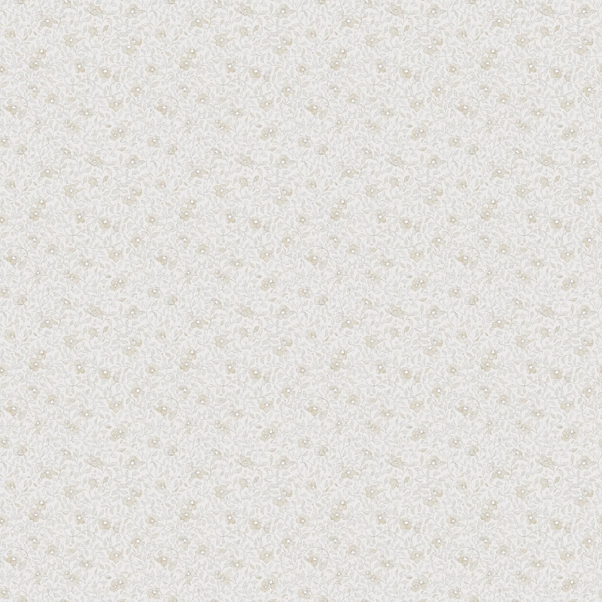 Tapetti Stella, Sandstone