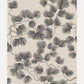 Tapetti Pine