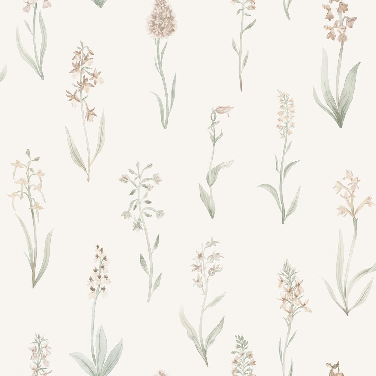 Tapetti Alma, Blush