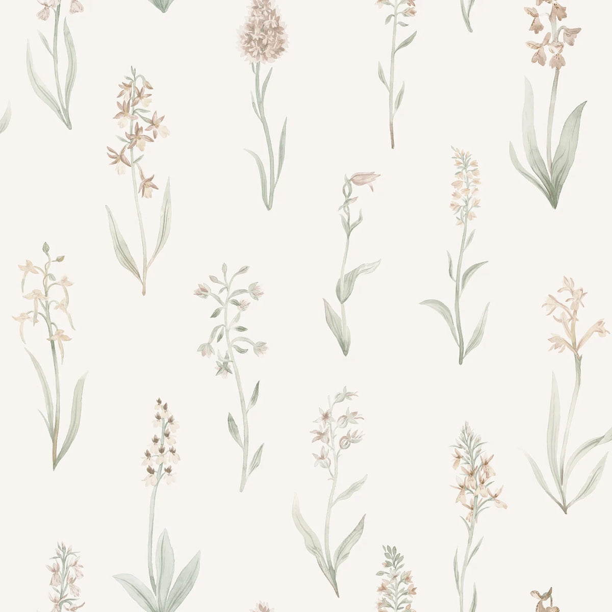 Tapetti Alma, Blush