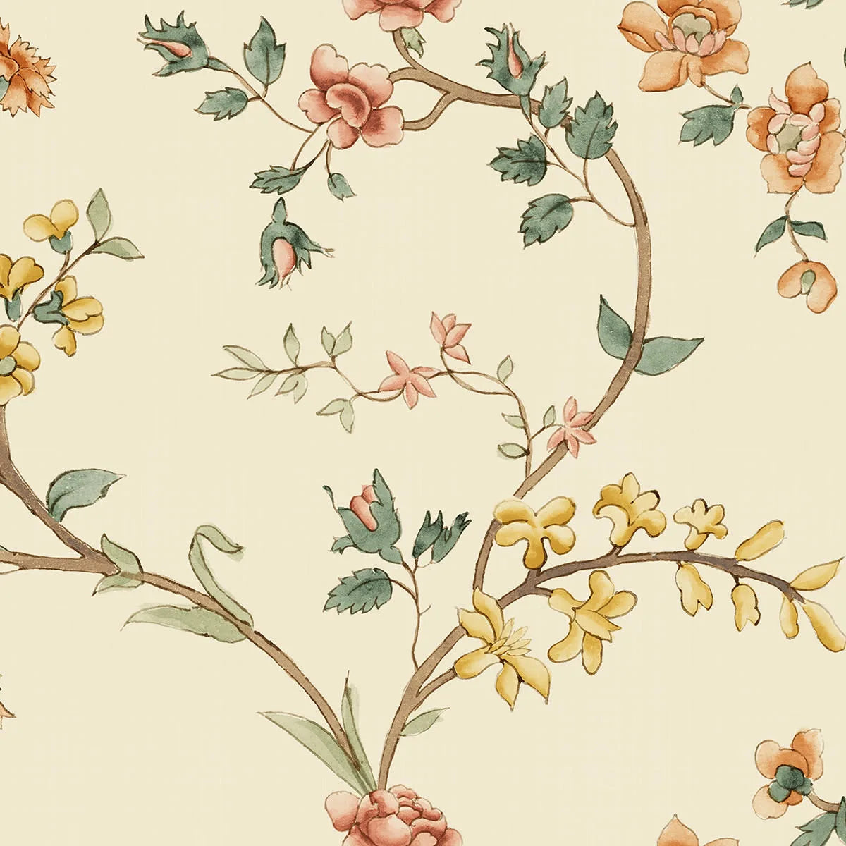 Tapetti Clara, Oat