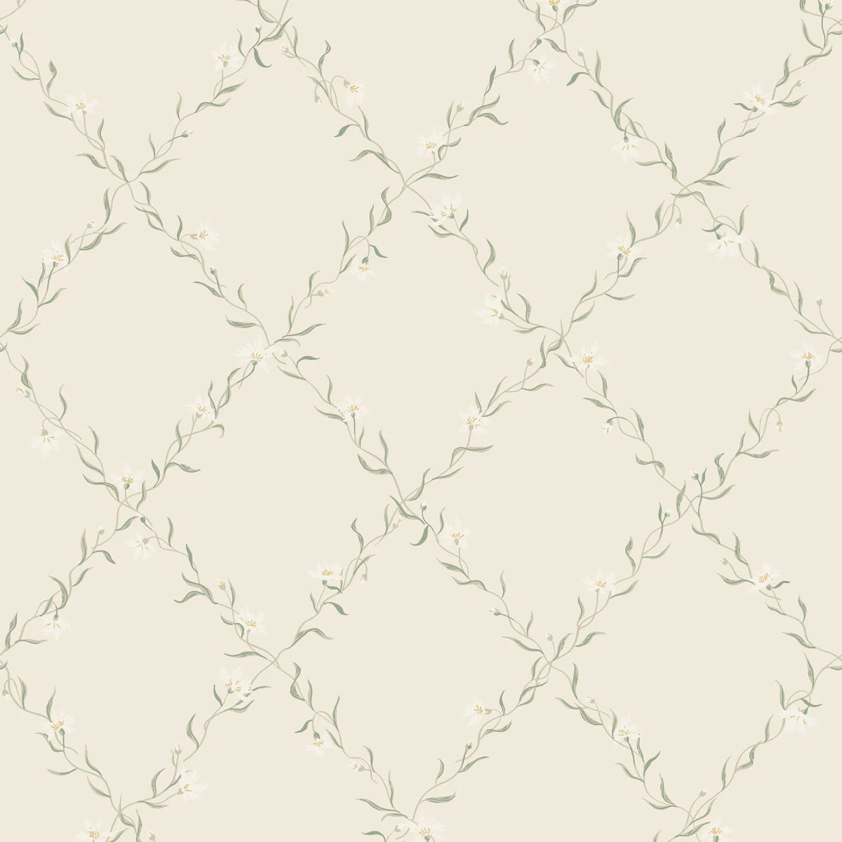Tapetti Ewa, Sandstone