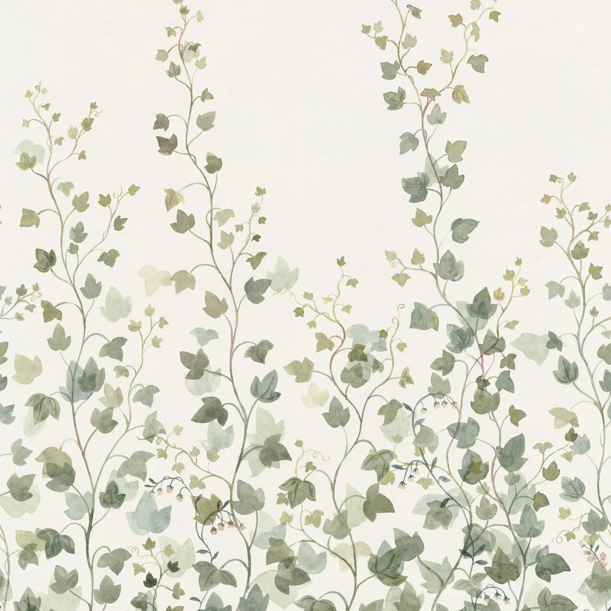 Tapetti Ivy, Green
