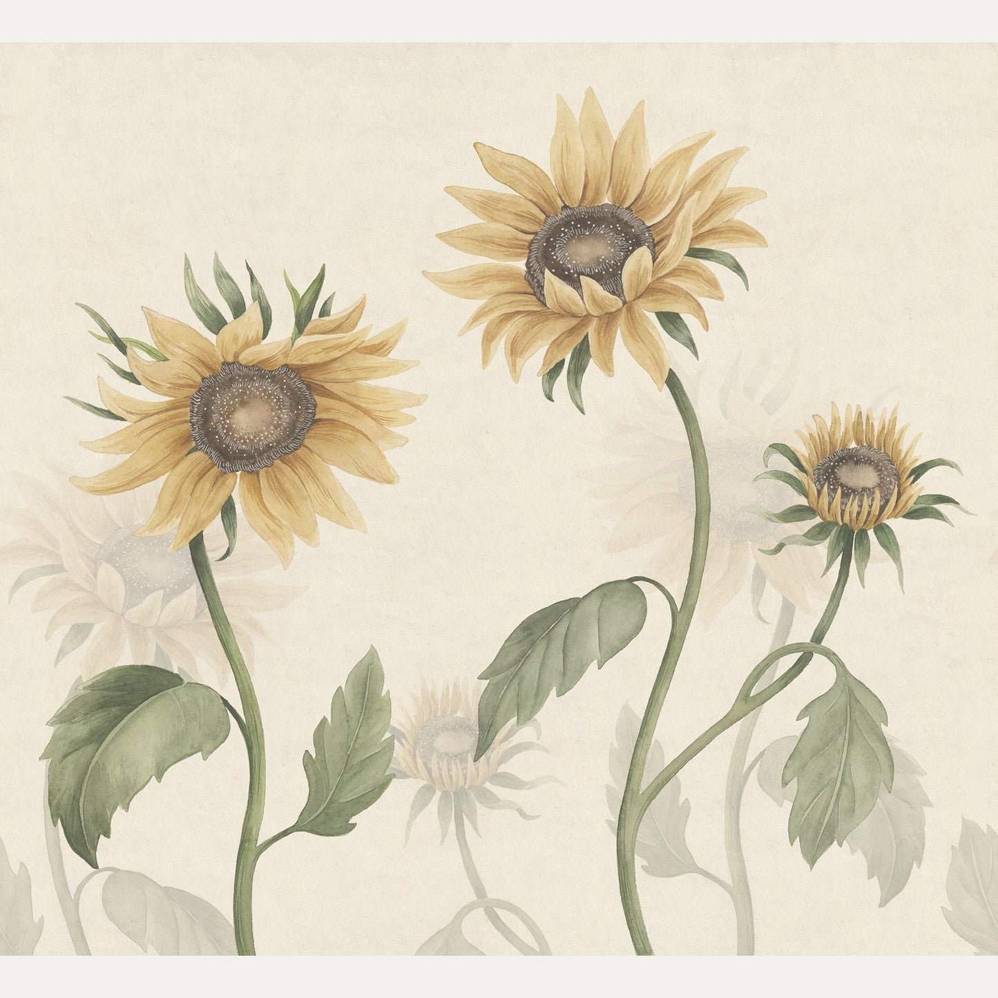 Kuvatapetti Sunflowers