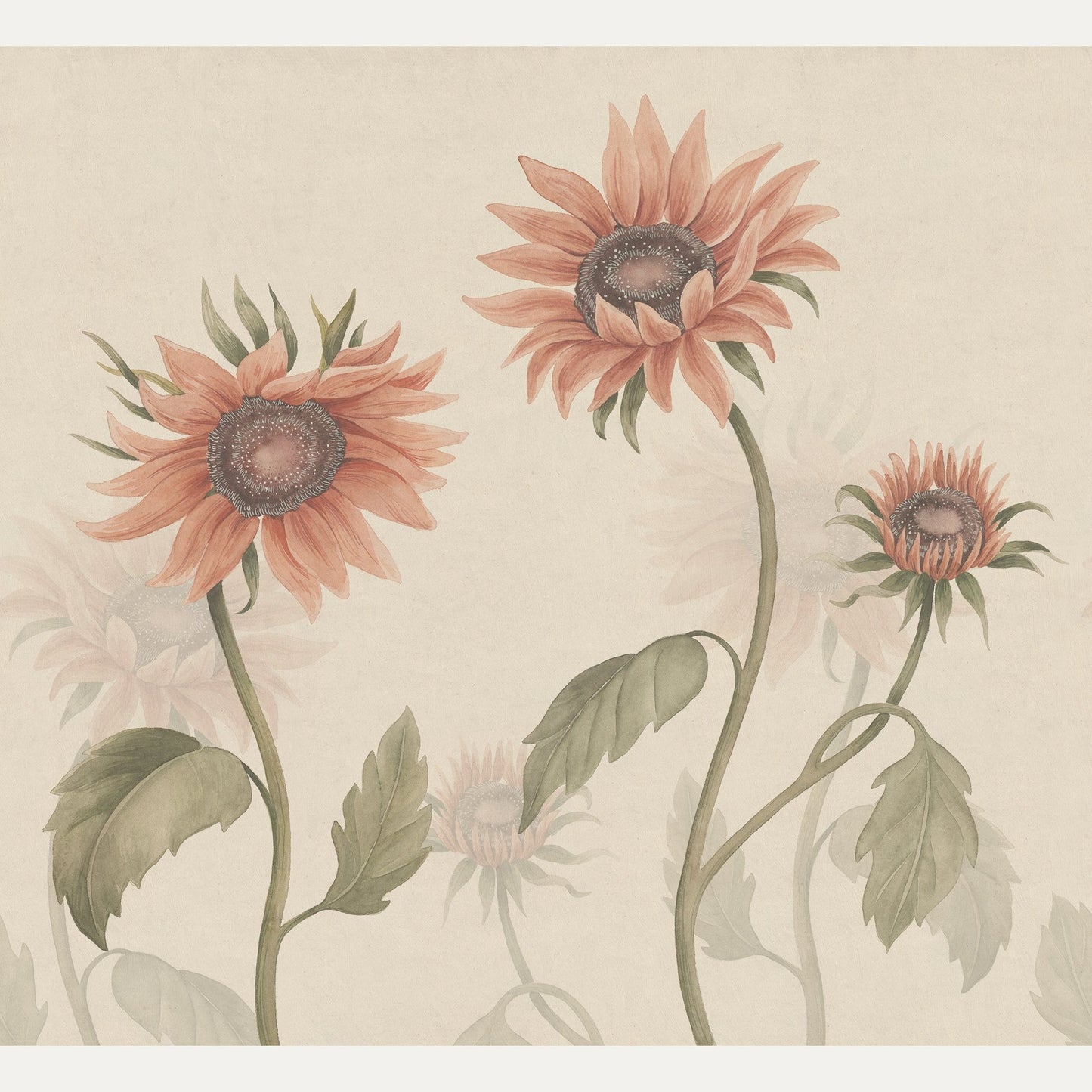 Kuvatapetti Sunflowers