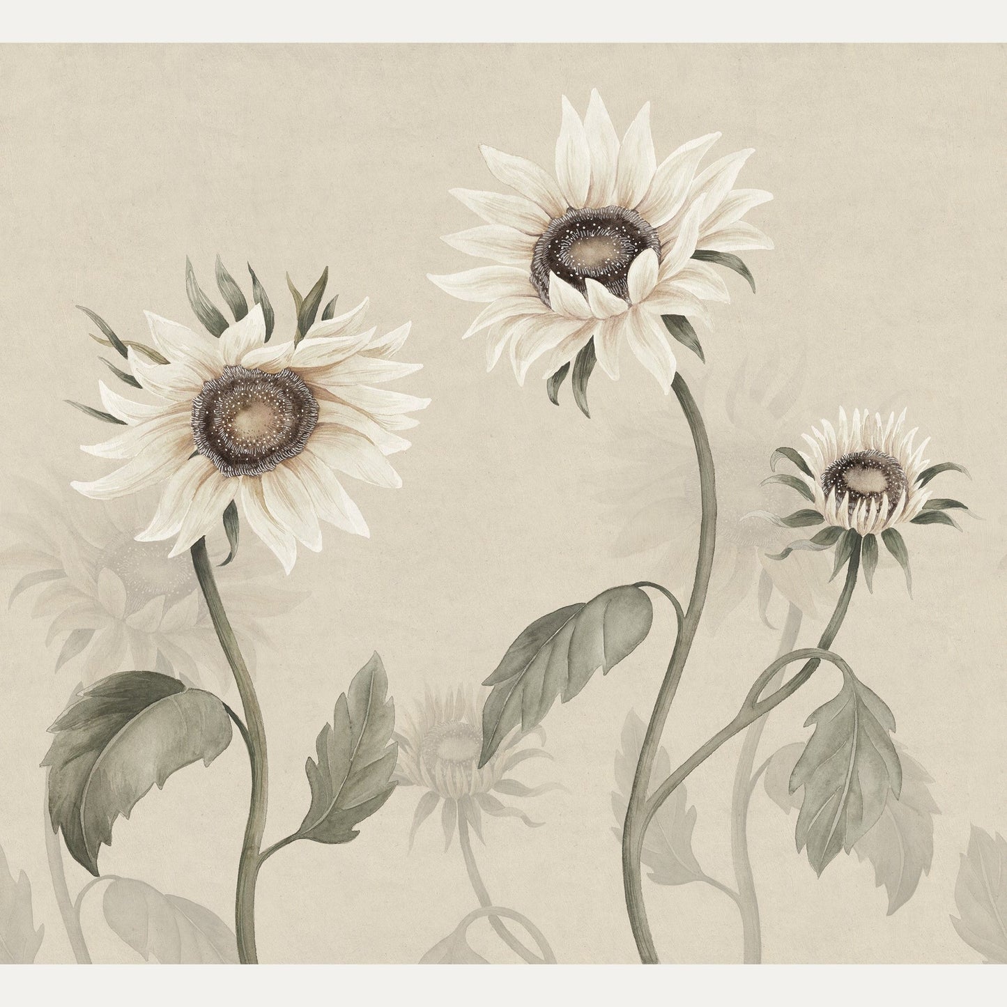 Kuvatapetti Sunflowers