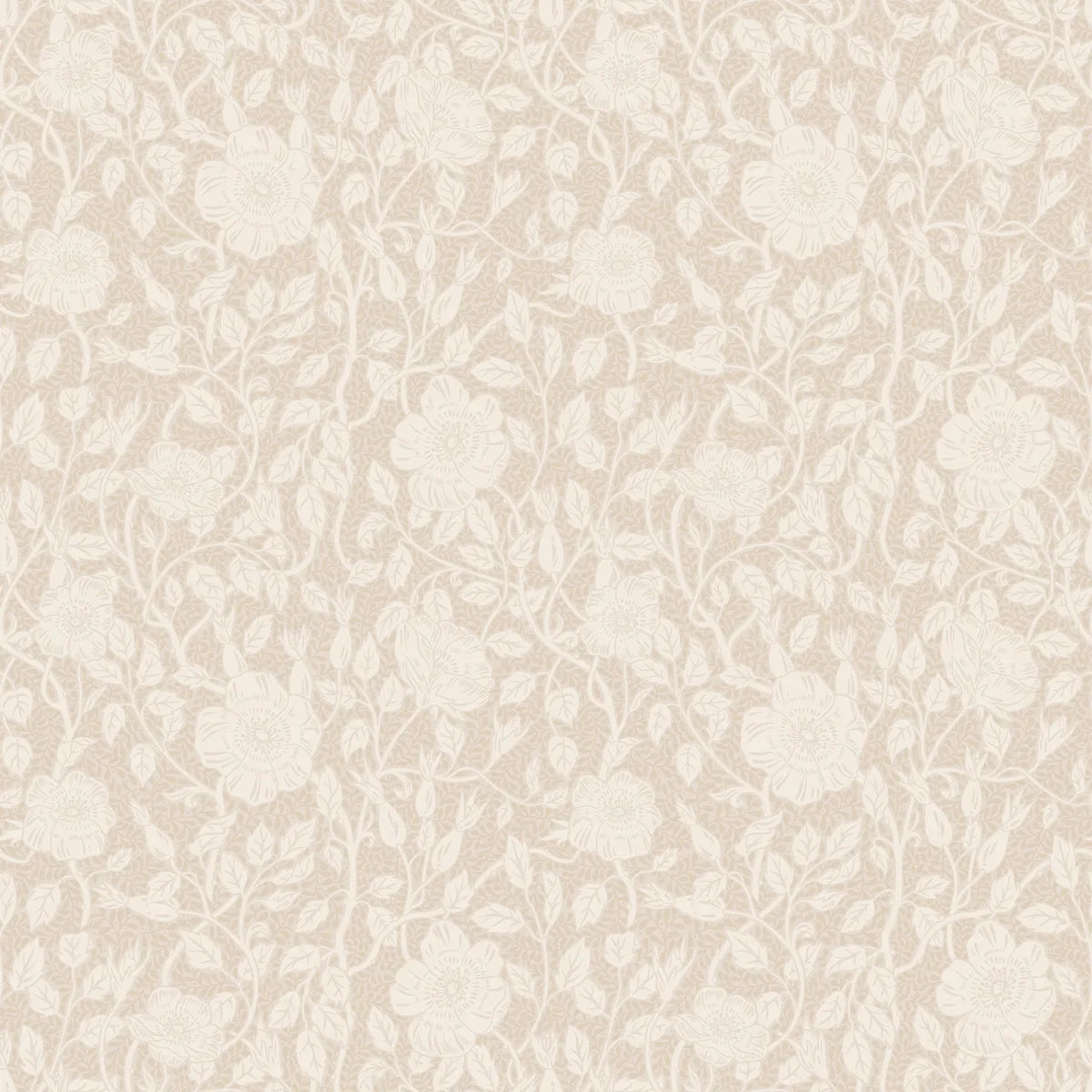 Tapetti Anton, Sandstone