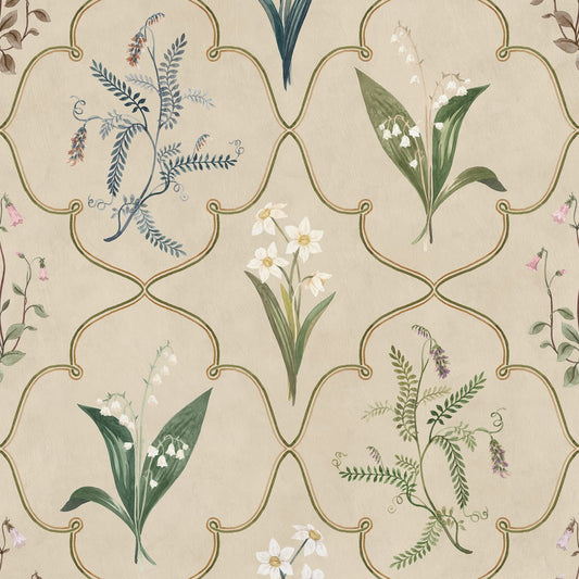 Tapetti Louise, Clay