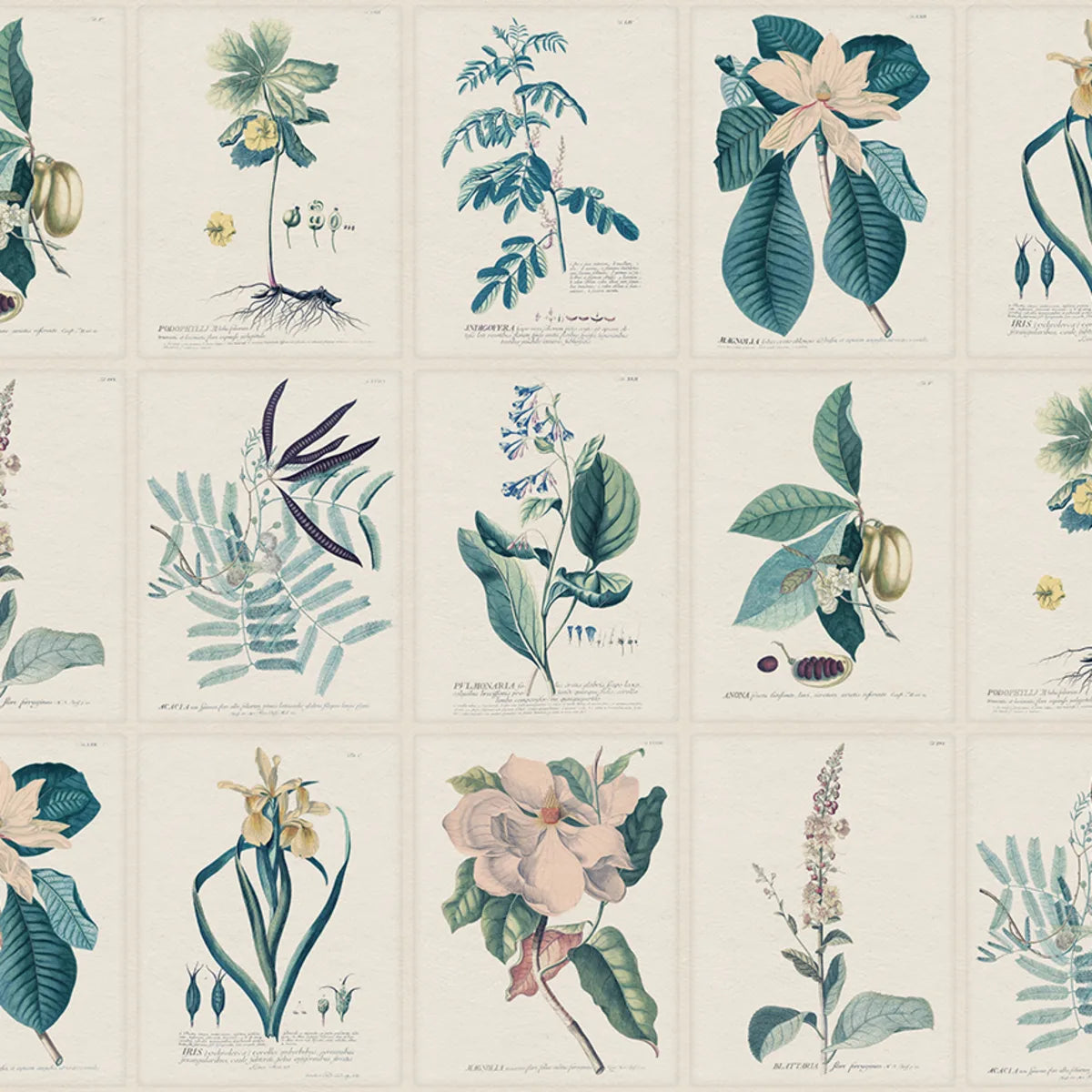 Tapetti Flora, Blue
