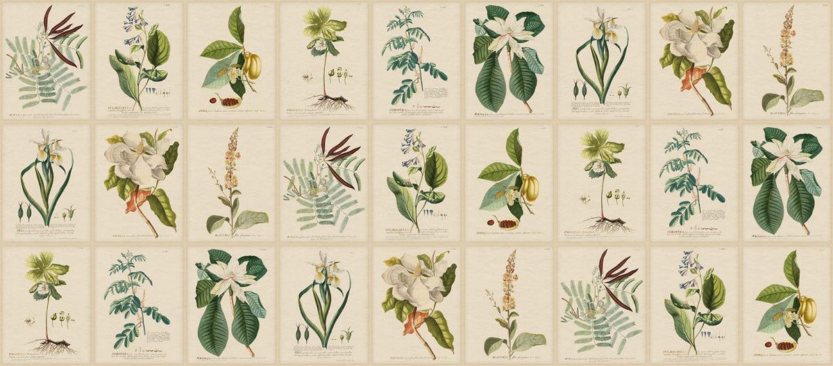 Tapetti Flora, Green