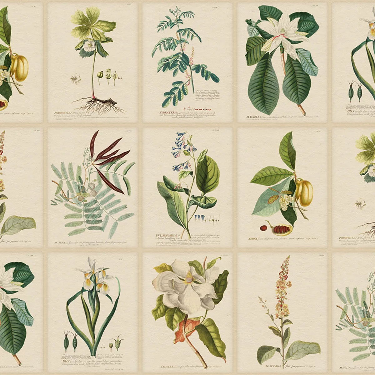 Tapetti Flora, Green