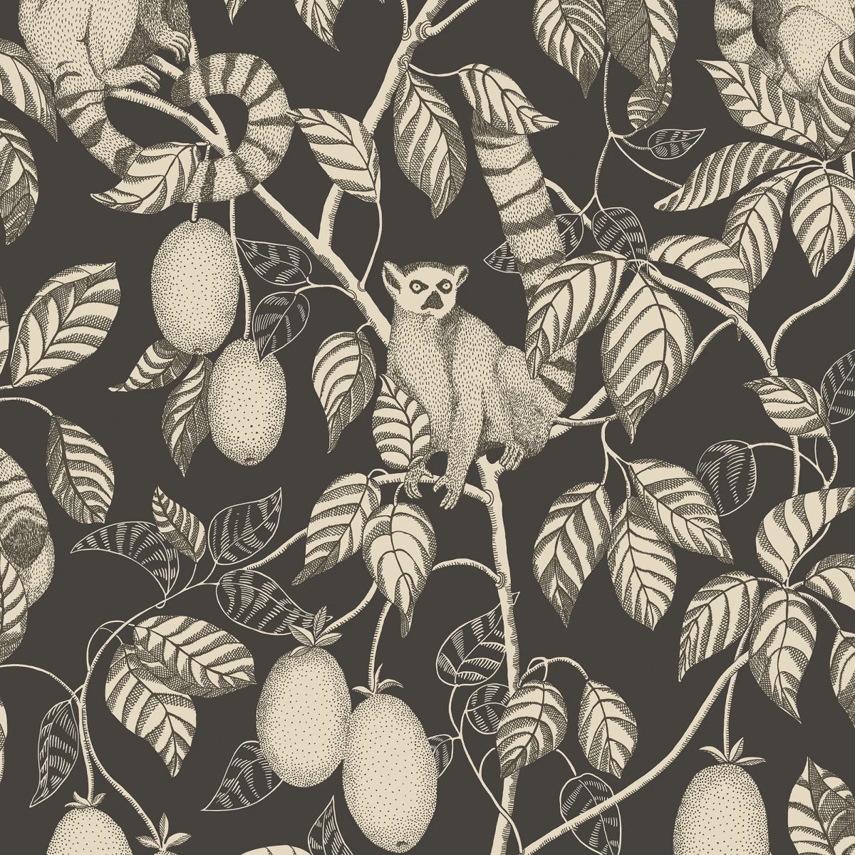 Tapetti Elliot, Graphite