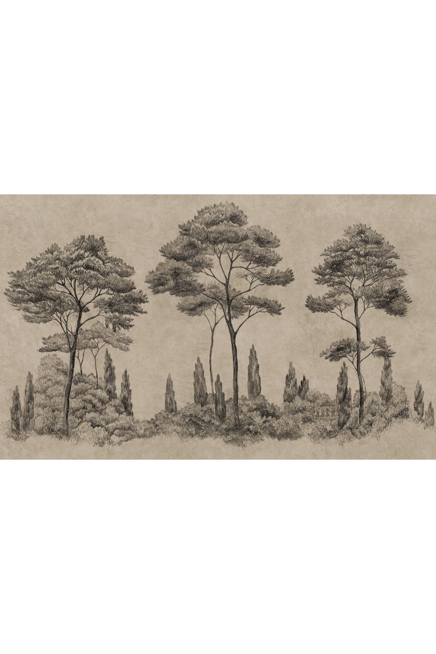 Tapetti Andrea, Graphite