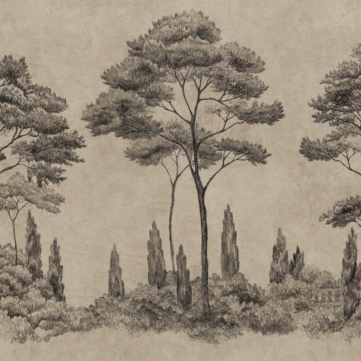 Tapetti Andrea, Graphite