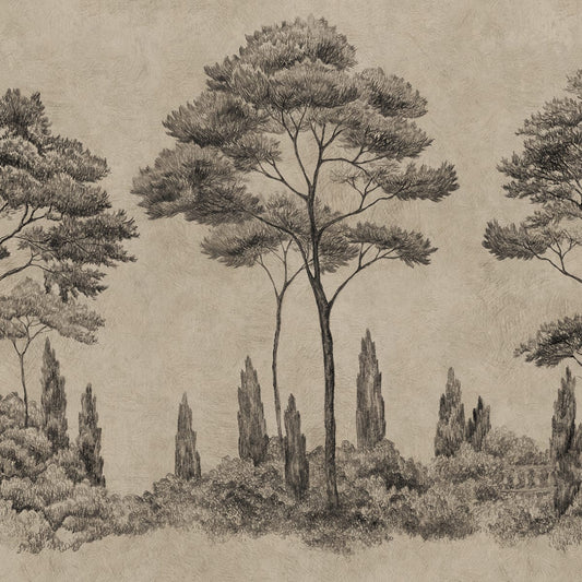 Tapetti Andrea, Graphite