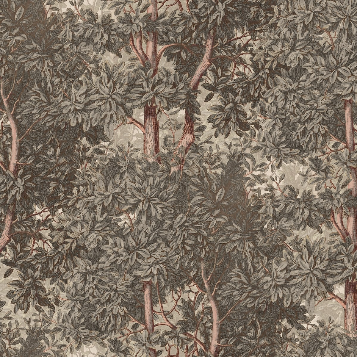 Tapetti Charles, Gray