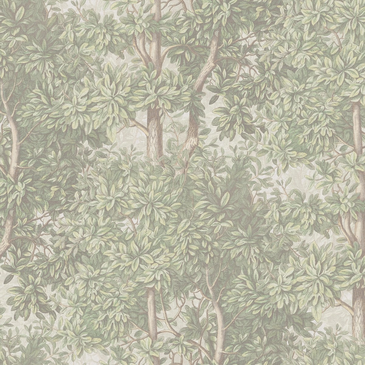 Tapetti Charles, Light Green