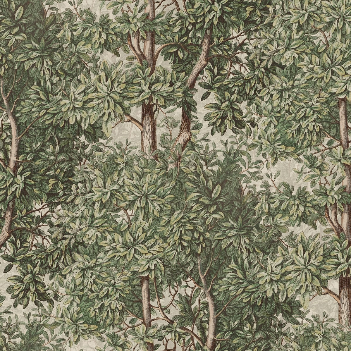Tapetti Charles, Green
