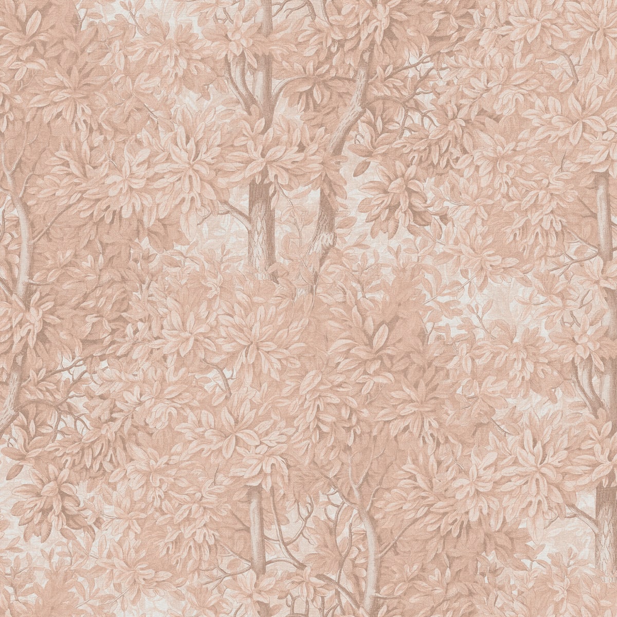 Tapetti Charles, Blush