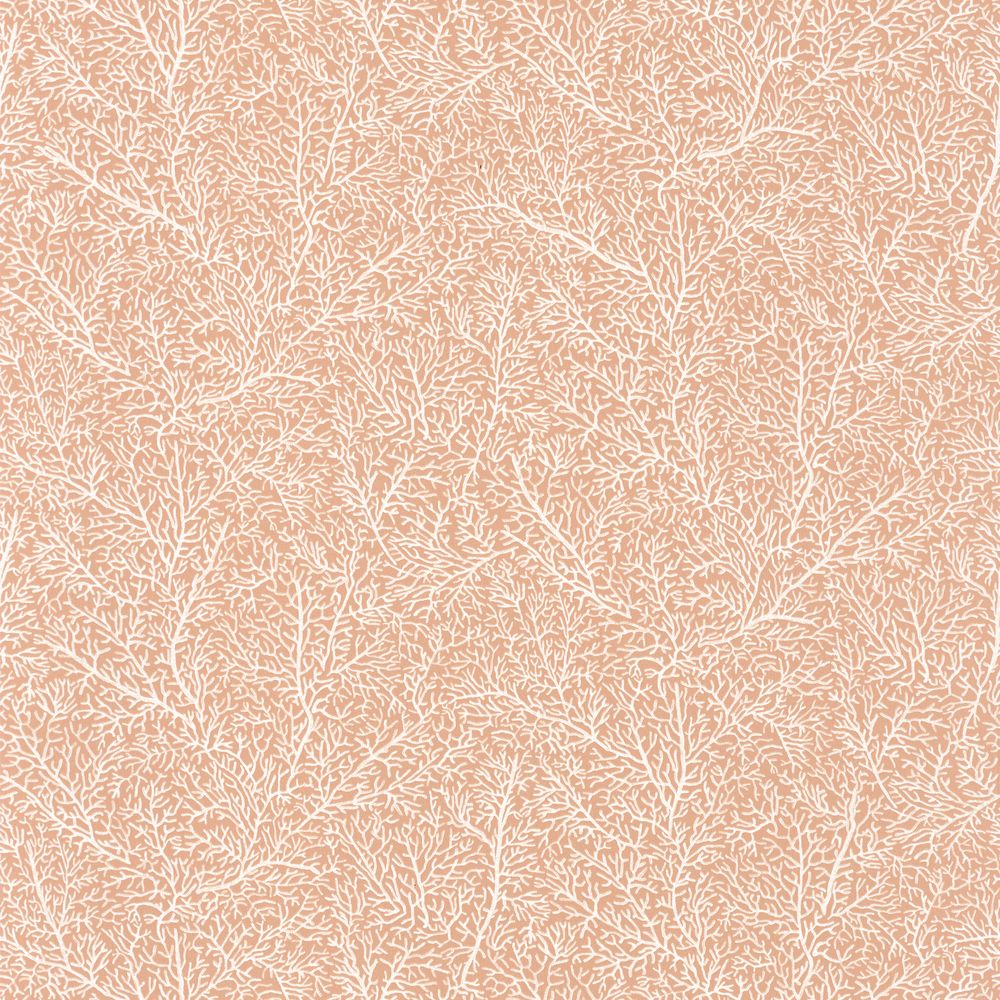 Tapetti Color Box Only Chips Corail 0,53x10,05m