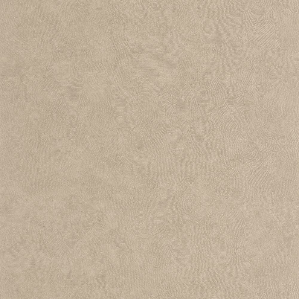 Tapetti Côte D'Opale Taupe 0,53x10,05m