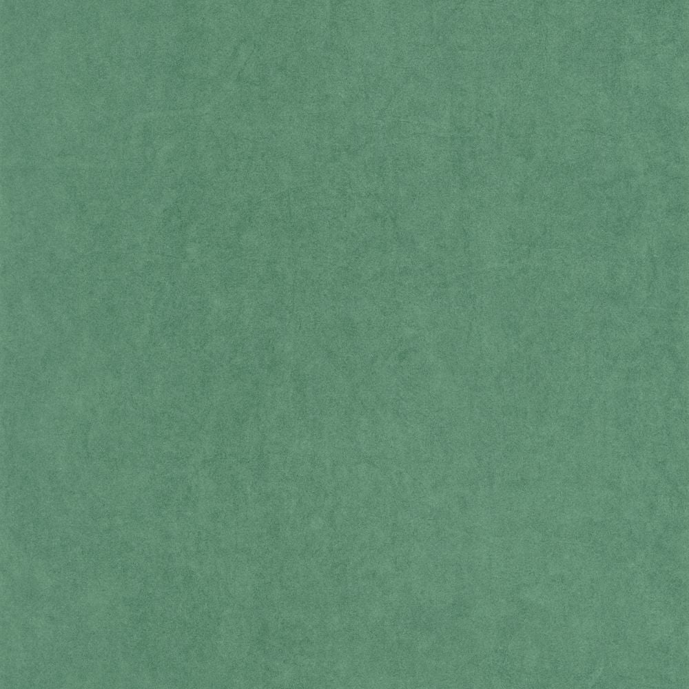 Tapetti Jouy Cotton Touch Vert Canopee 0,53x10,05m
