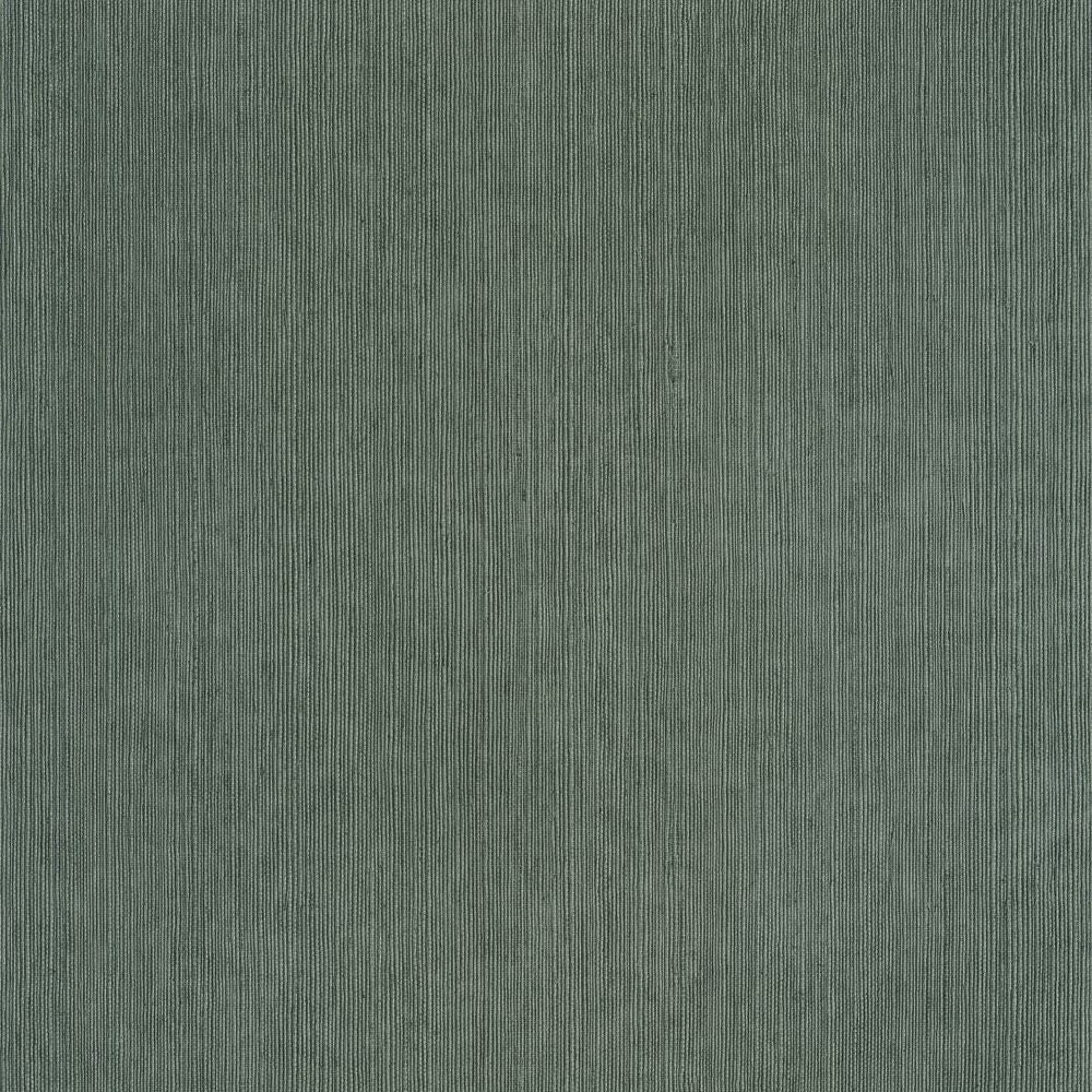 Tapetti Sisal Vert Sapin 0,53x10,05m