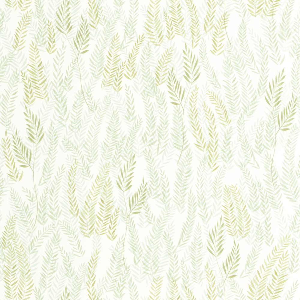 Tapetti Walk In The Jungle Vert Feuille 0,53x10,05m