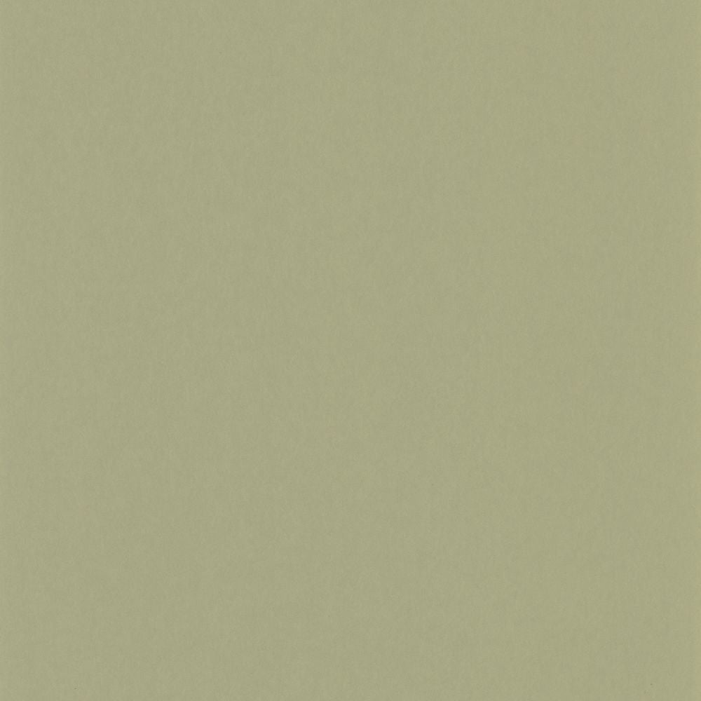 Tapetti Pigments Argile Verte 0,53x10,05m