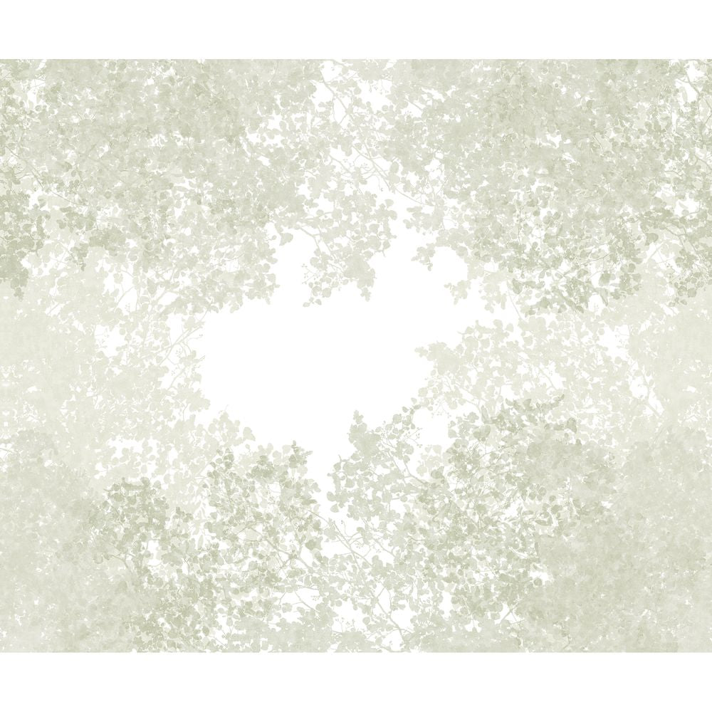 Tapetti Chemin Des Cimes_S Vert Lichen 300X250 cm