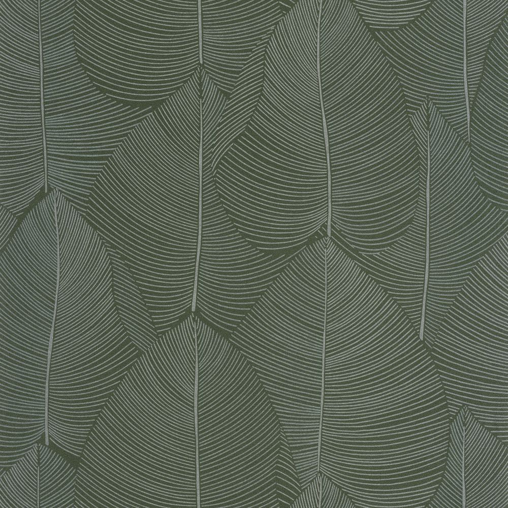 Tapetti Nuance Vert Irise 0,53x10,05m