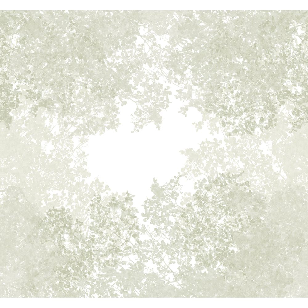 Tapetti Chemin Des Cimes_M Vert Lichen 300X280 cm