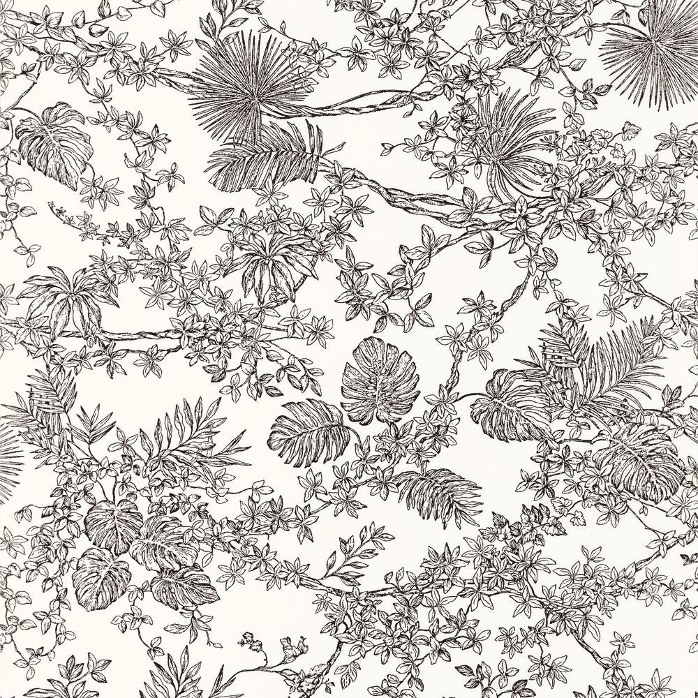 Tapetti Jardin Des Plantes Noir Fusain 0,53x10,05m