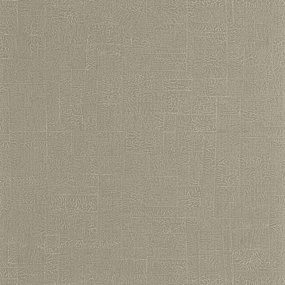 Tapetti Ecume Lichen 0,53x10,05m