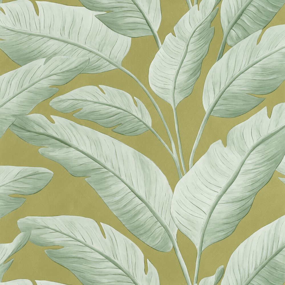 Tapetti Tropicalia Kaki 0,53x10,05m