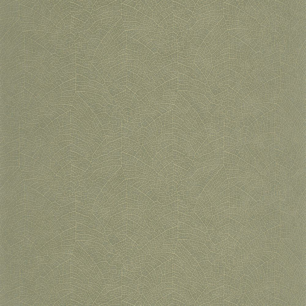 Tapetti Nola Vert Eucalyptus 0,53x10,05m